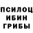 Псилоцибиновые грибы мухоморы Ramin Dave