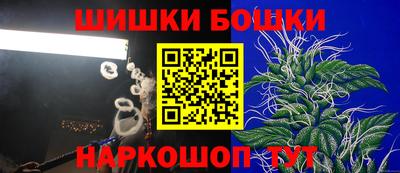 шишки Гай