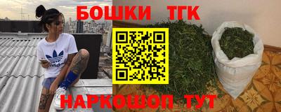 шишки Гай
