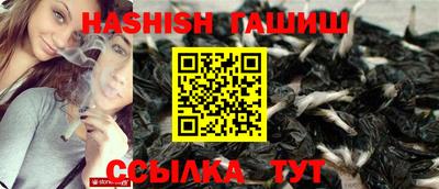 шишки Гай