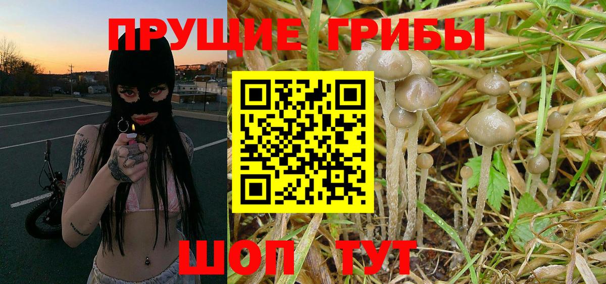 Мурманск  Галлюциногенные грибы GOLDEN TEACHER  Вход с VPN 