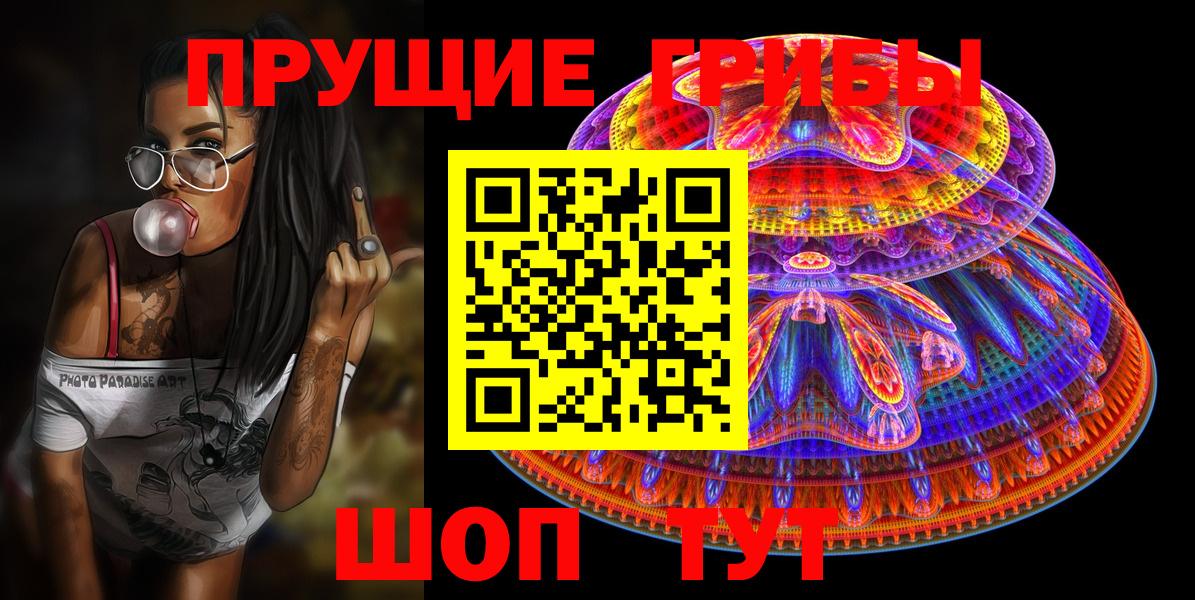 Псилоцибиновые грибы Psilocybine cubensis Мурманск