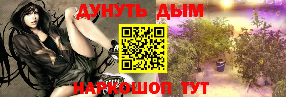 МАРИХУАНА AK-47  МАРИХУАНА LSD WEED  Мурманск  Вход с VPN  Марихуана OG Kush  МАРИХУАНА семена 